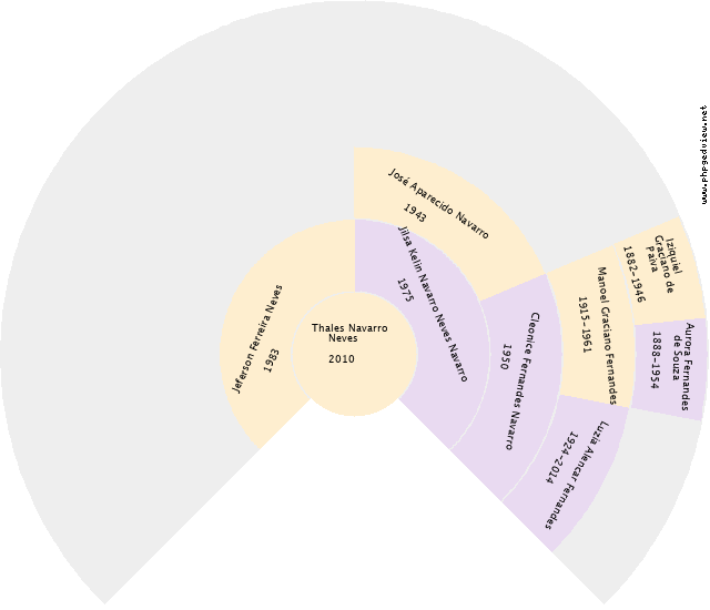 André Divino Machado Gráfico de Ascendência