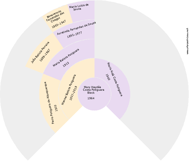 Darci Rodrigues Marques Gráfico de Ascendência