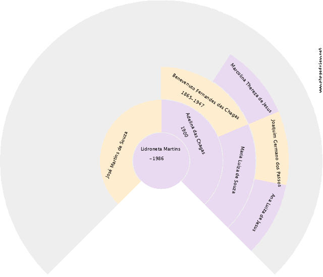 Silvia Andréia Almeida Pereira Gráfico de Ascendência