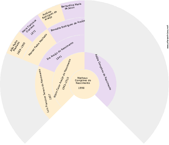 Analici Corrêa Machado Gráfico de Ascendência