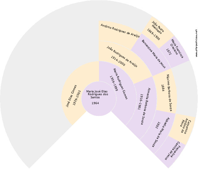 Irani de Freitas Queiroz Gráfico de Ascendência