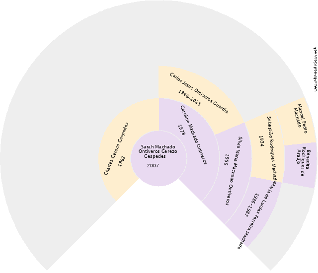 Wellinton de Oliveira Junior Gráfico de Ascendência