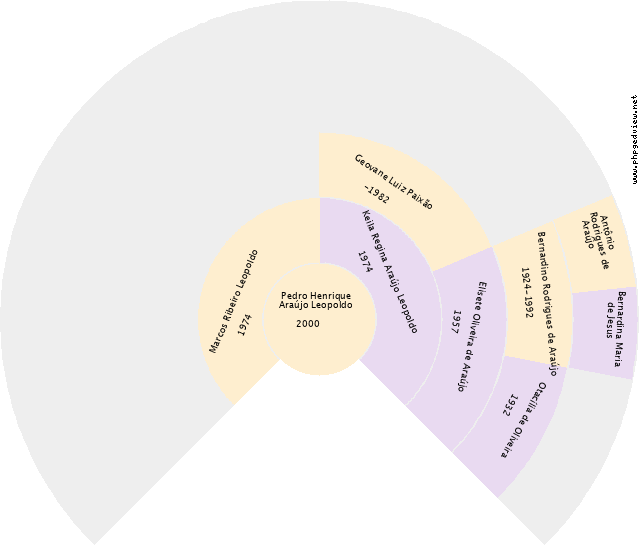 Patrícia Araújo dos Santos Kaspary Gráfico de Ascendência