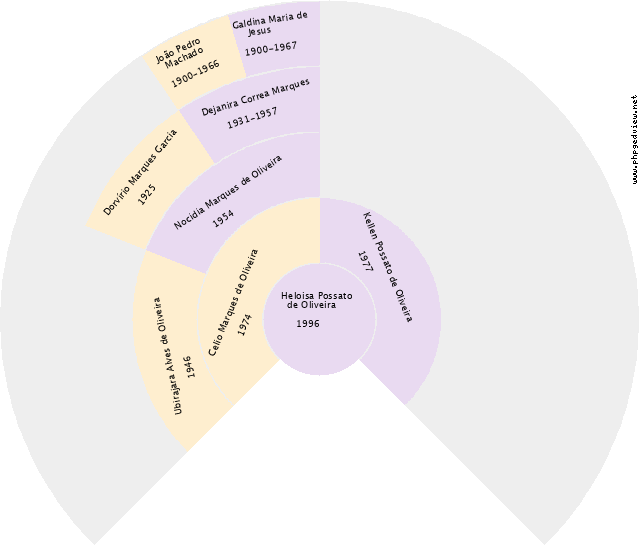 Sebastião Rosa Correa Gráfico de Ascendência