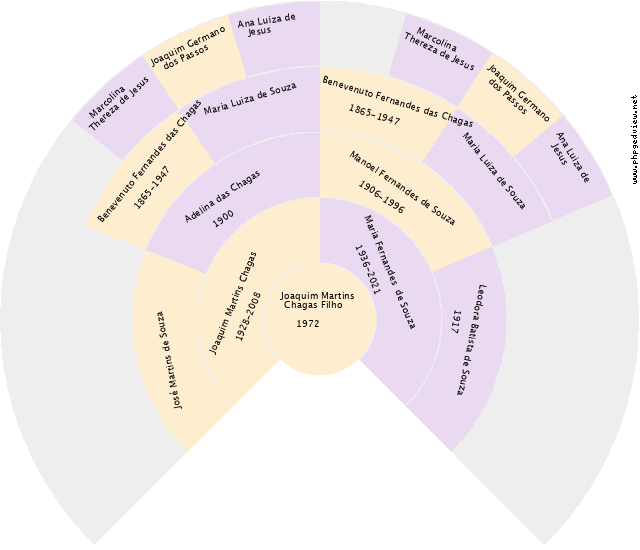 Hevelyn Ventura Gráfico de Ascendência